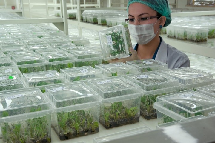 Tekfen Tarım Adana-Agripark, Ar-Ge Merkezi oldu fotoğraf