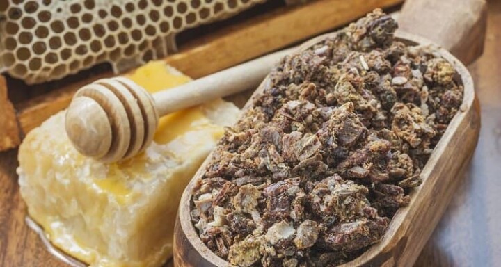 Sırrı çözülemeyen Propolis, bağışıklık sistemini güçlendiriyor fotoğraf