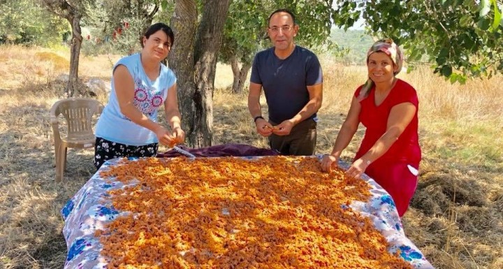 Urla Tarhana Şenliği başlıyor fotoğraf