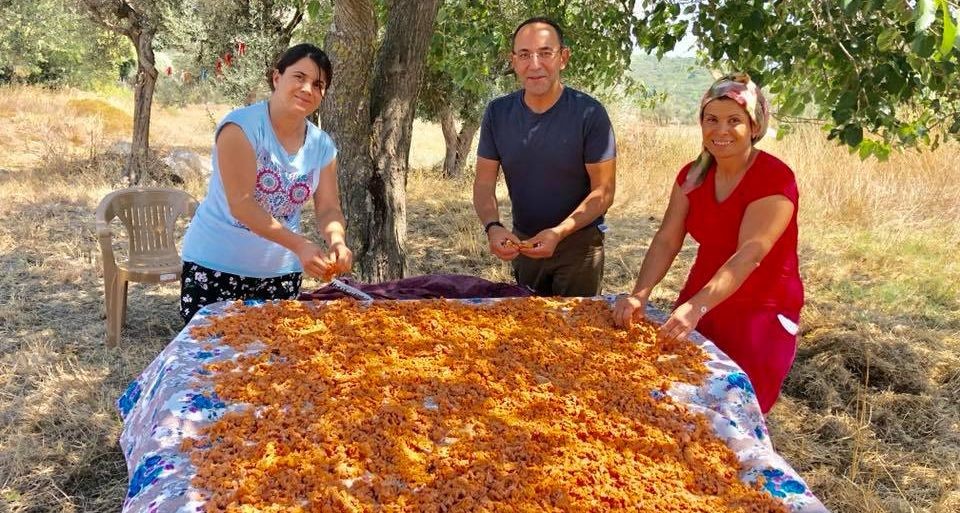Urla Tarhana Şenliği başlıyor